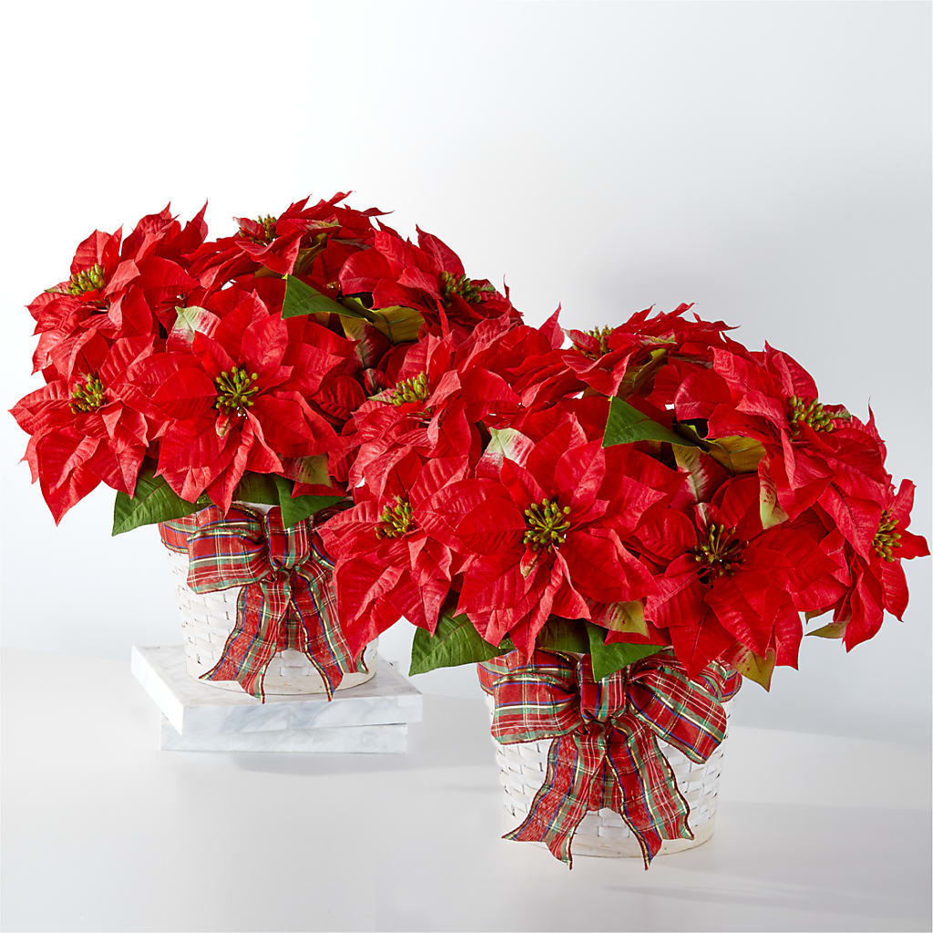 Happiest Holidays Poinsettia Bundle – FARFANS FLOWERS & DECORATIONS LLC, Frederick MD