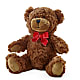 Adorable Plush Bear – FARFANS FLOWERS & DECORATIONS LLC, Frederick MD