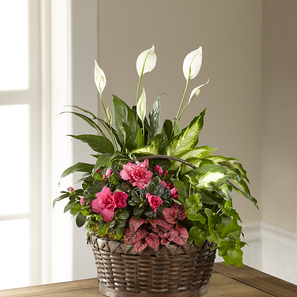 Dream in Pink Dishgarden – FARFANS FLOWERS & DECORATIONS LLC, Frederick MD