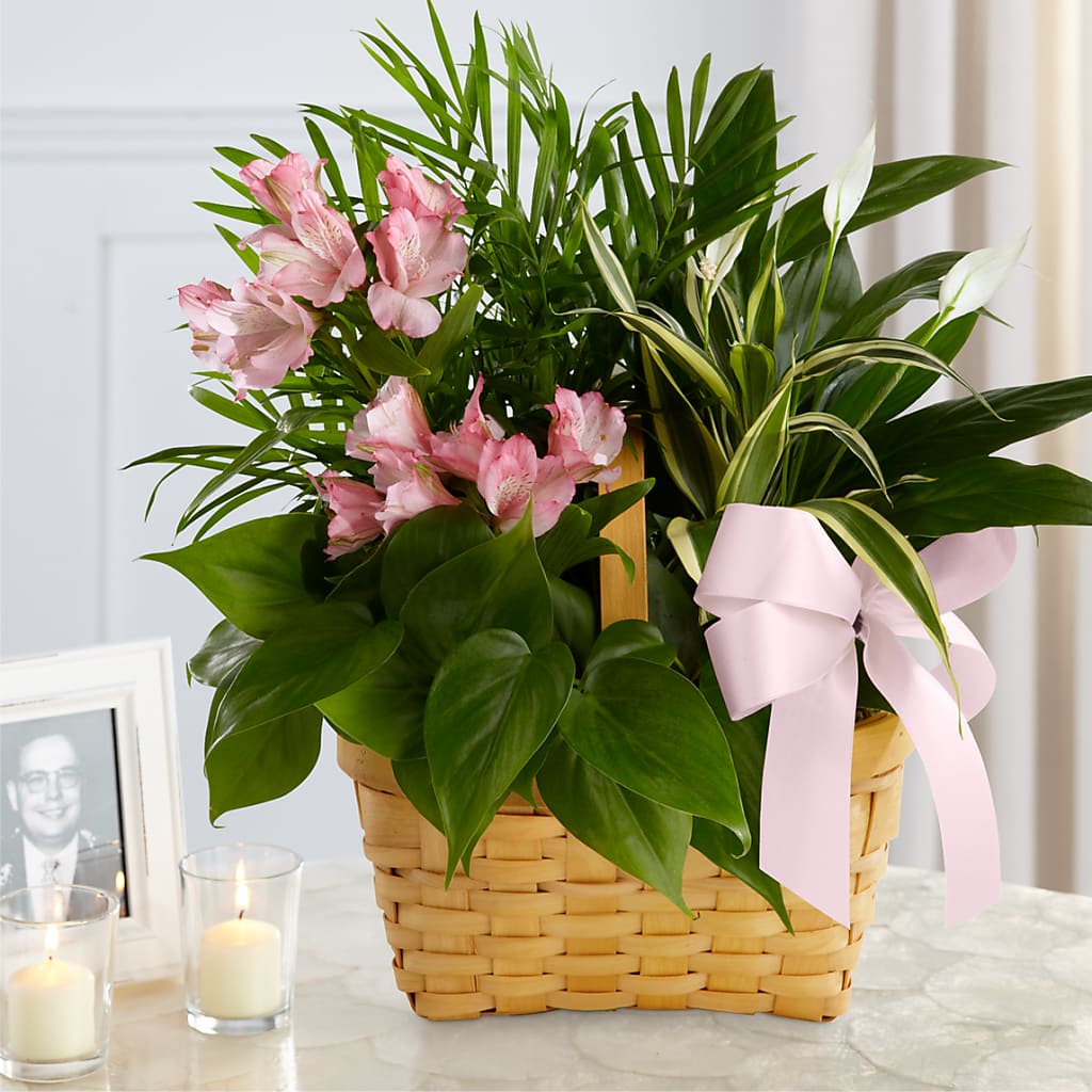 Living Spirit Dishgarden – FARFANS FLOWERS & DECORATIONS LLC, Frederick MD