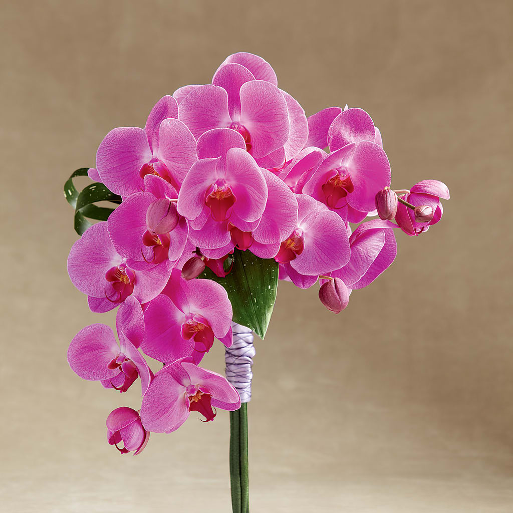 Glorious Bouquet – FARFANS FLOWERS & DECORATIONS LLC, Frederick MD