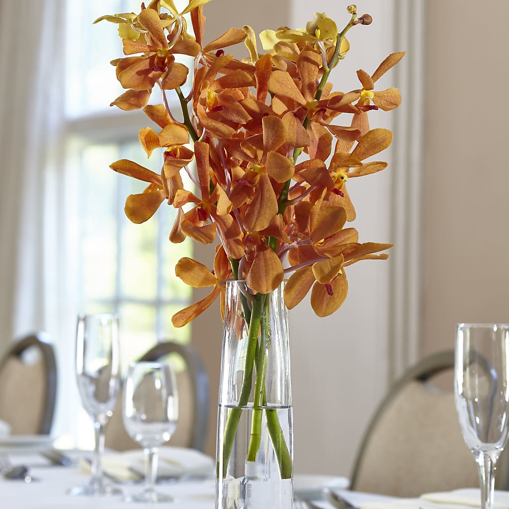 Orange Mokara Bud Vase – FARFANS FLOWERS & DECORATIONS LLC, Frederick MD