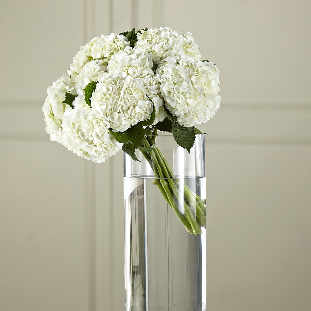 White Hydrangea Hand-Tied Bouquet – FARFANS FLOWERS & DECORATIONS LLC, Frederick MD