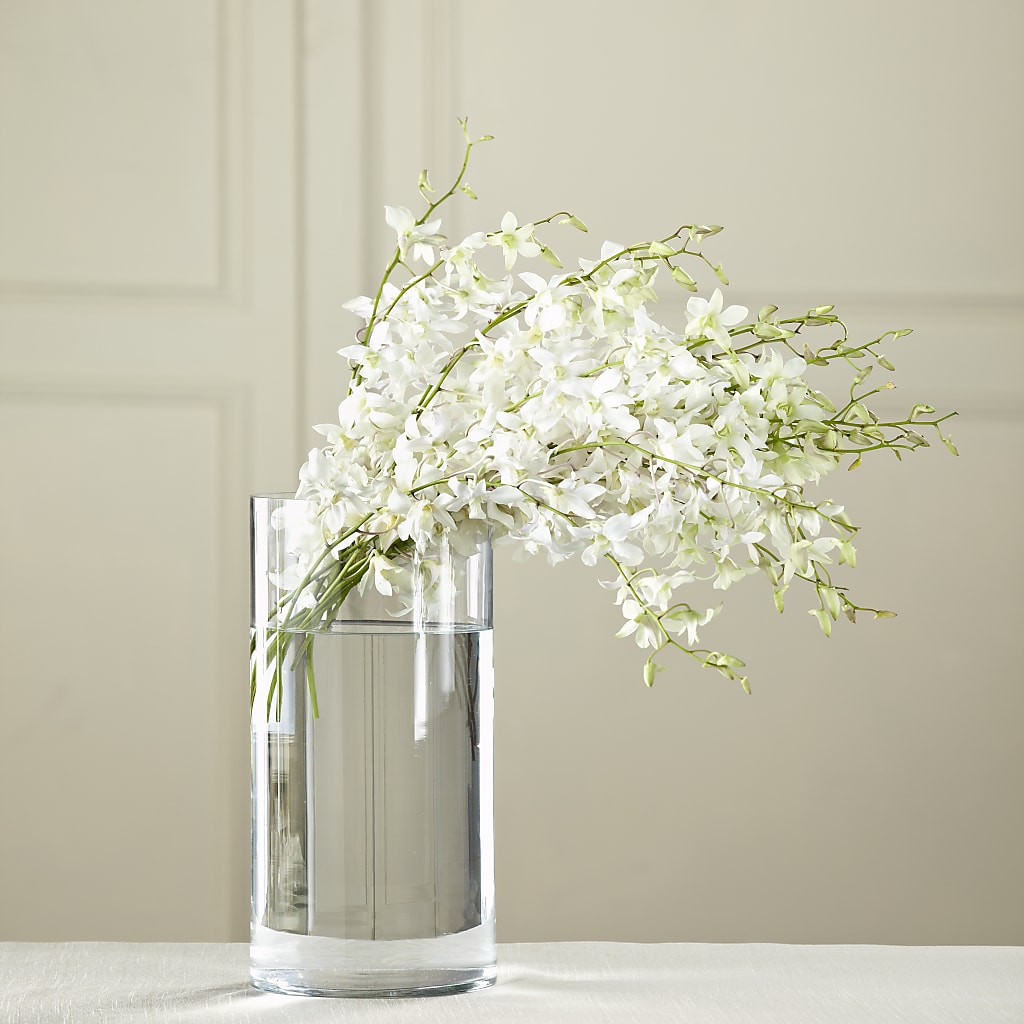 White Dendrobium Bouquet – FARFANS FLOWERS & DECORATIONS LLC, Frederick MD
