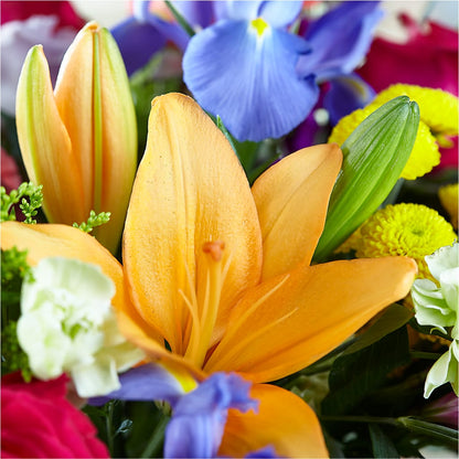 Bold & Bright – A Florist Original – FARFANS FLOWERS & DECORATIONS LLC, Frederick MD