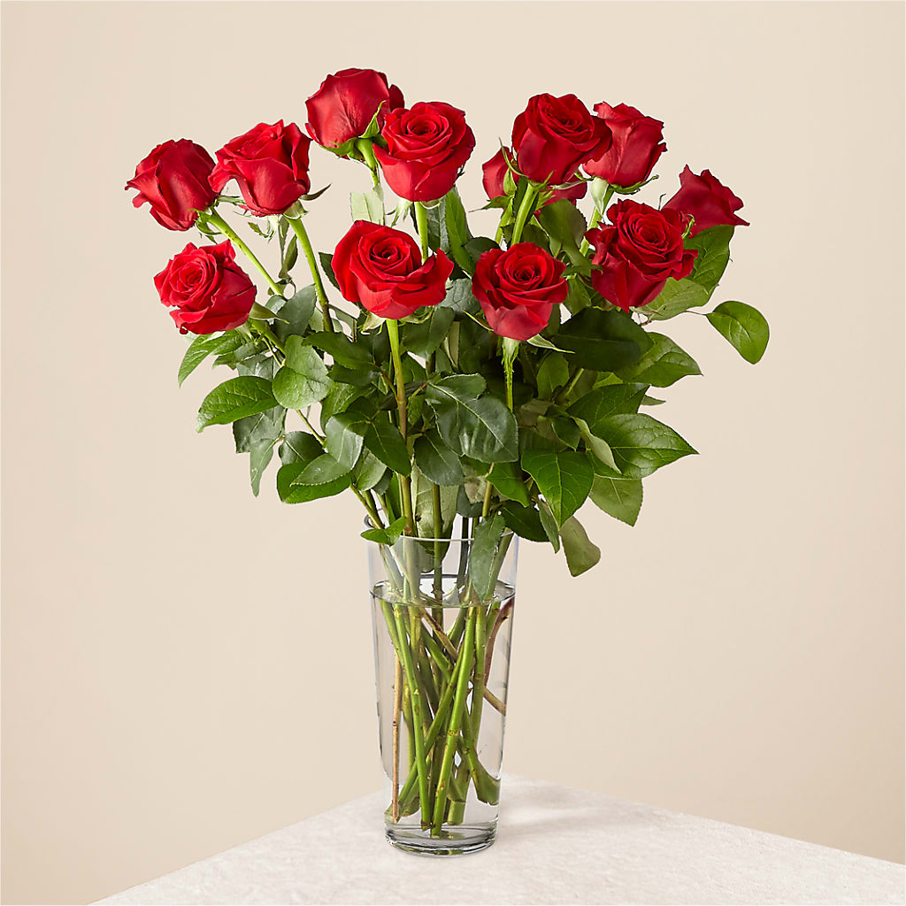 Long Stem Red Rose Bouquet – FARFANS FLOWERS & DECORATIONS LLC, Frederick MD