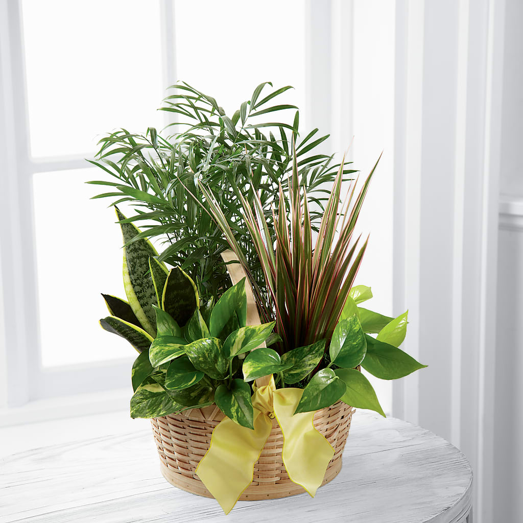 French Garden – FARFANS FLOWERS & DECORATIONS LLC, Frederick MD