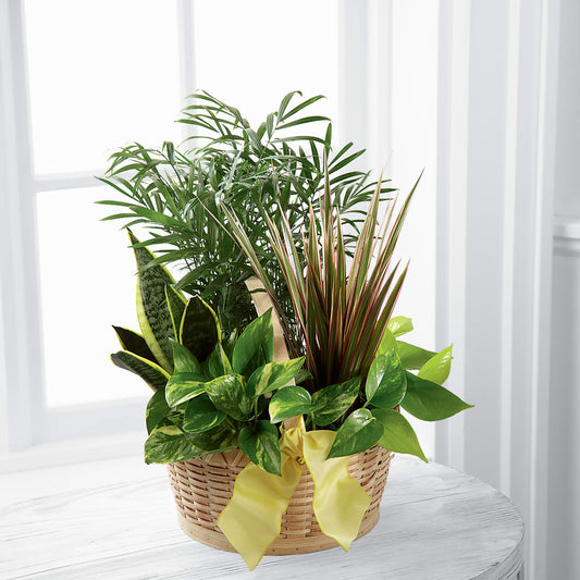 French Garden – FARFANS FLOWERS & DECORATIONS LLC, Frederick MD