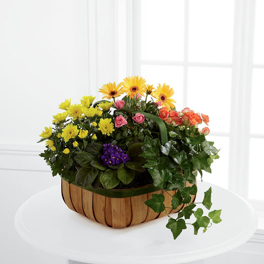 Gentle Blossoms Basket – FARFANS FLOWERS & DECORATIONS LLC, Frederick MD