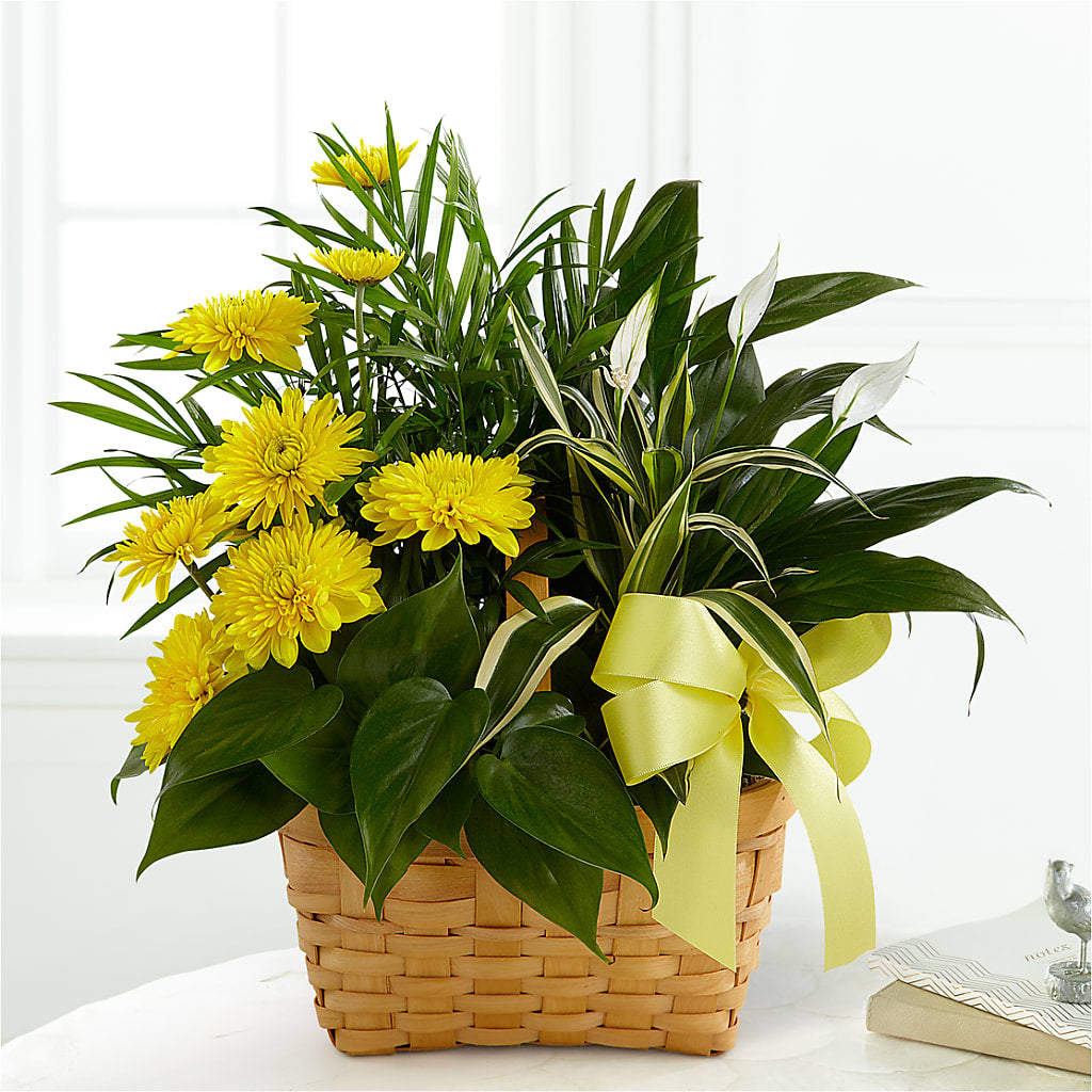 Loving Light Dishgarden – FARFANS FLOWERS & DECORATIONS LLC, Frederick MD