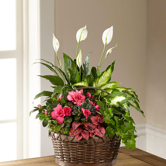 Dream in Pink Dishgarden – FARFANS FLOWERS & DECORATIONS LLC, Frederick MD