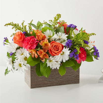 Oopsie Daisy Box Bouquet – FARFANS FLOWERS & DECORATIONS LLC, Frederick MD