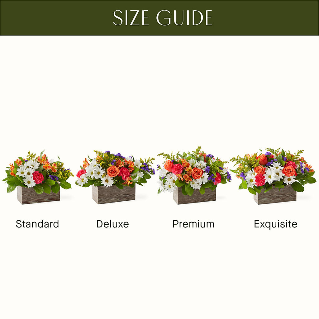 Oopsie Daisy Box Bouquet – FARFANS FLOWERS & DECORATIONS LLC, Frederick MD