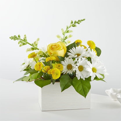 Sun Salutation Box Bouquet – FARFANS FLOWERS & DECORATIONS LLC, Frederick MD