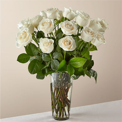 Long Stem White Rose Bouquet – FARFANS FLOWERS & DECORATIONS LLC, Frederick MD