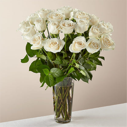 Long Stem White Rose Bouquet – FARFANS FLOWERS & DECORATIONS LLC, Frederick MD