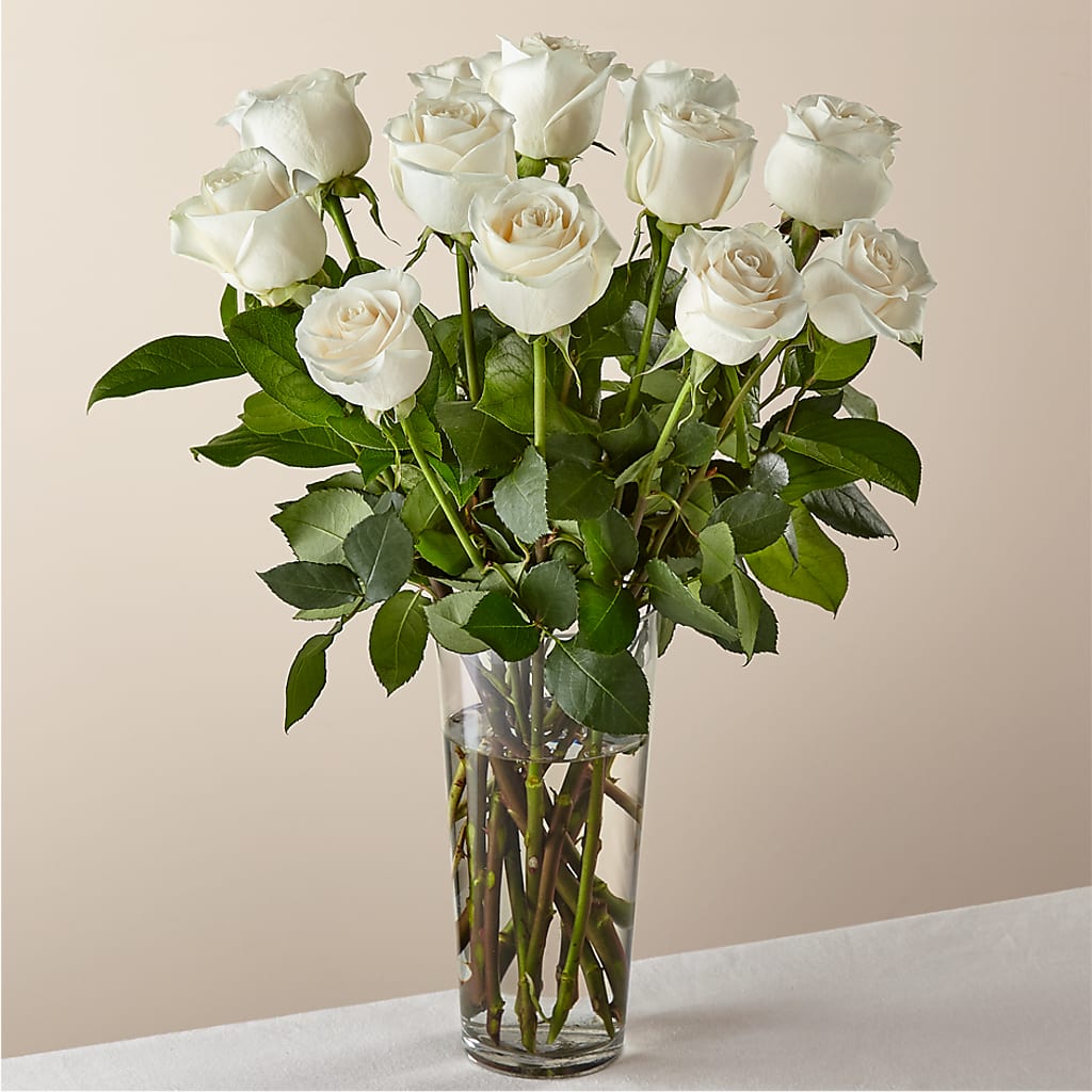Long Stem White Rose Bouquet – FARFANS FLOWERS & DECORATIONS LLC, Frederick MD