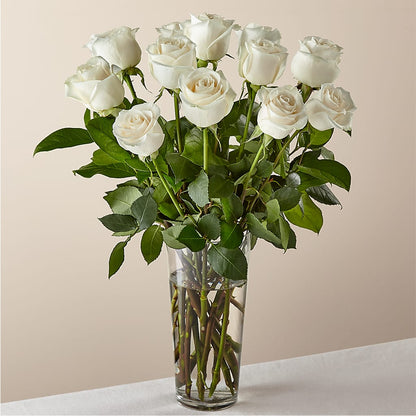 Long Stem White Rose Bouquet – FARFANS FLOWERS & DECORATIONS LLC, Frederick MD