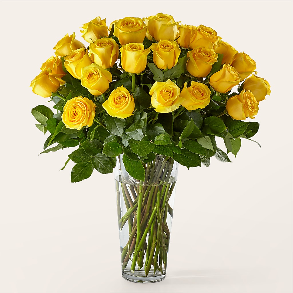 Long Stem Yellow Rose Bouquet – FARFANS FLOWERS & DECORATIONS LLC, Frederick MD
