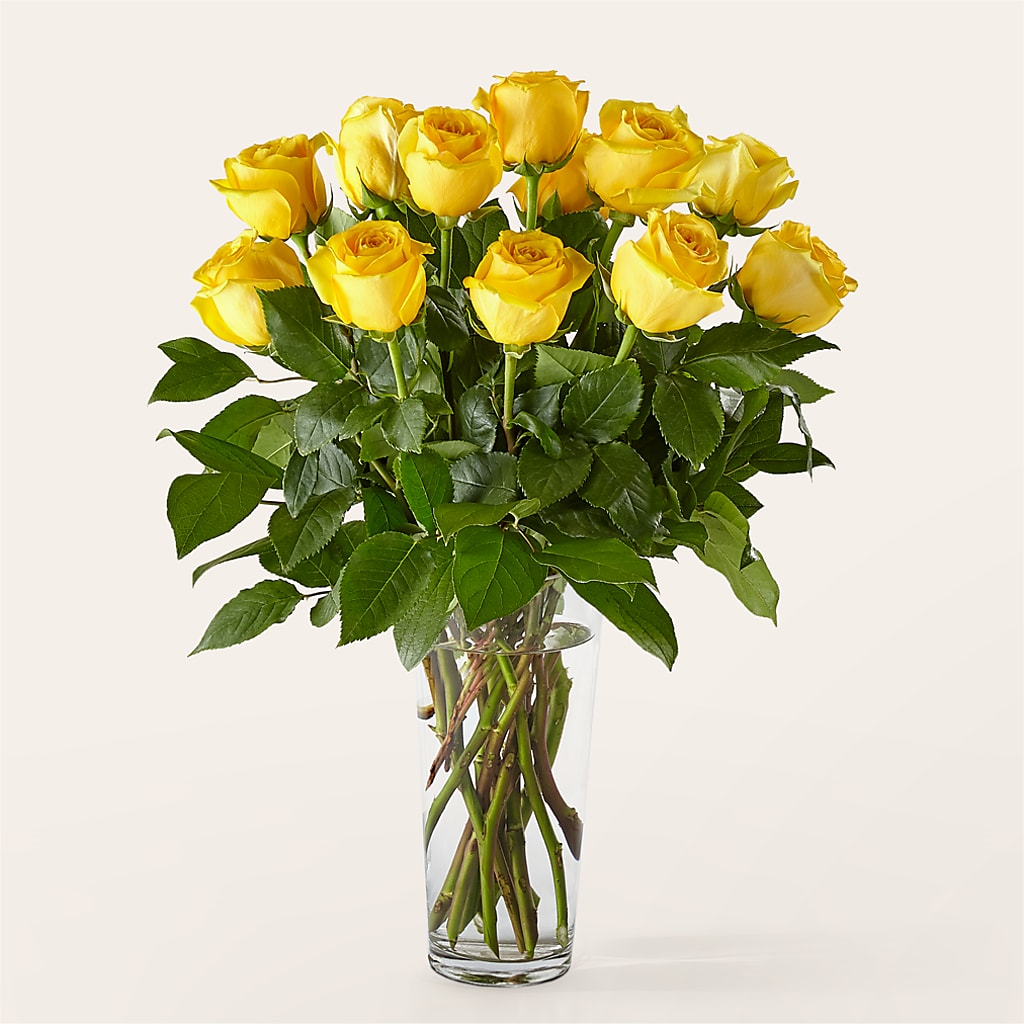 Long Stem Yellow Rose Bouquet – FARFANS FLOWERS & DECORATIONS LLC, Frederick MD