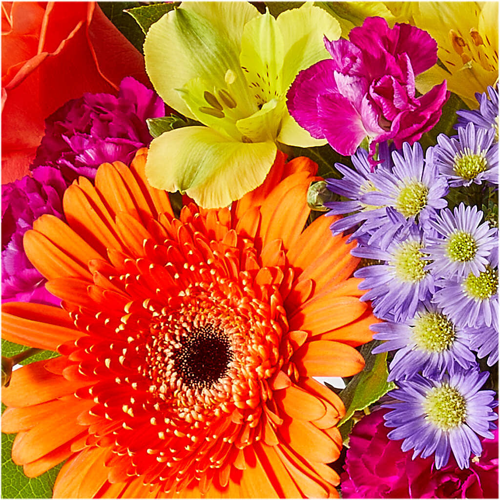 Tricks & Treats Pumpkin – FARFANS FLOWERS & DECORATIONS LLC, Frederick MD