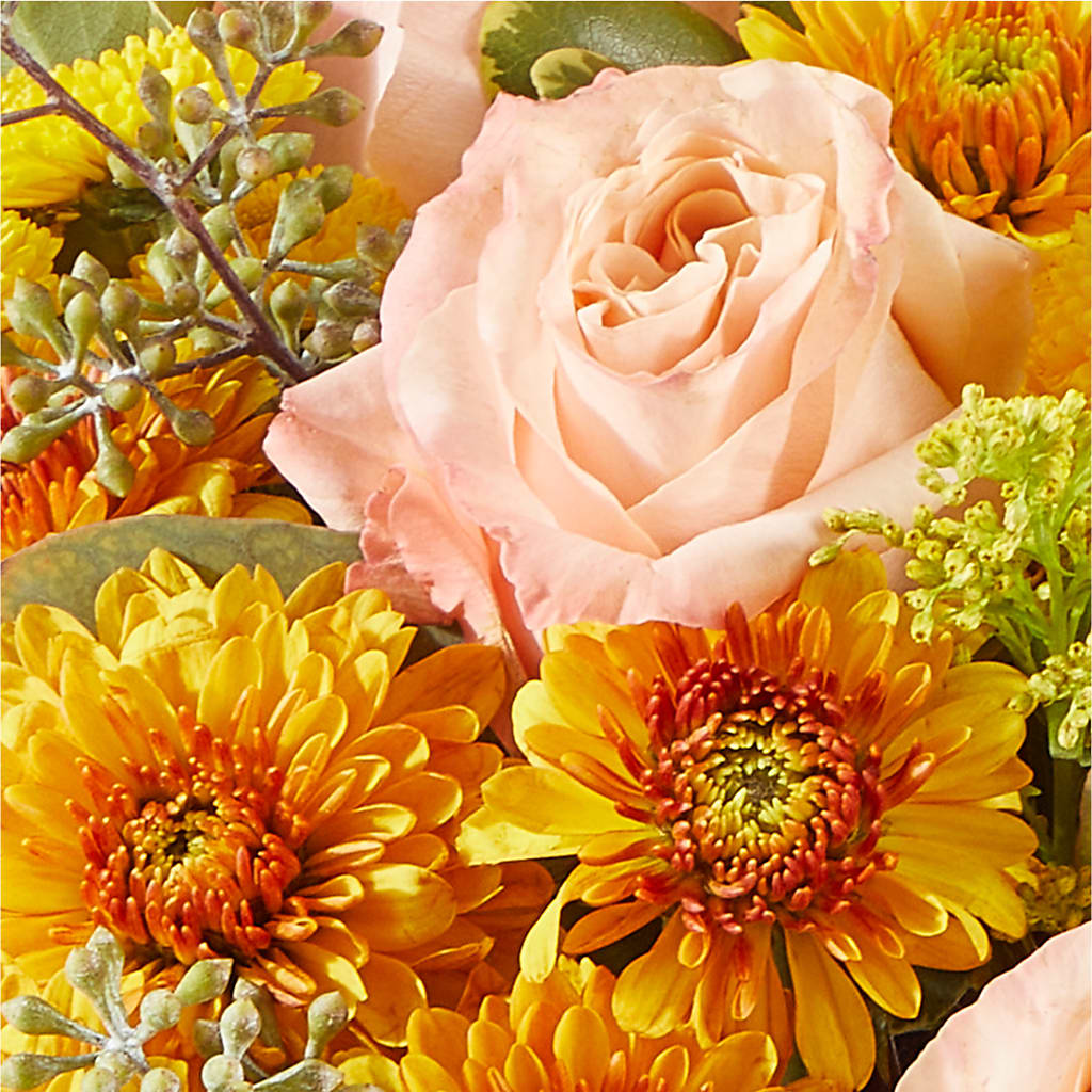 Peachy Pumpkin – FARFANS FLOWERS & DECORATIONS LLC, Frederick MD