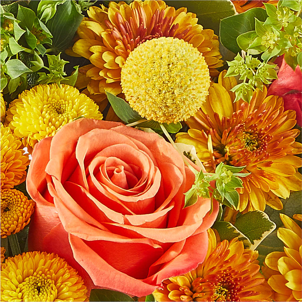 Gourdgeous Pumpkin – FARFANS FLOWERS & DECORATIONS LLC, Frederick MD