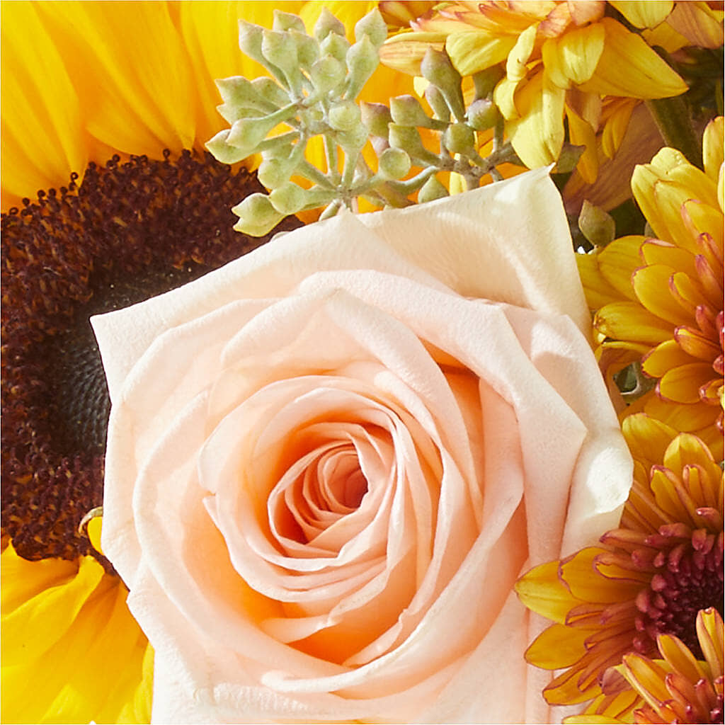 Pumpkin to Talk About Bouquet – FARFANS FLOWERS & DECORATIONS LLC, Frederick MD