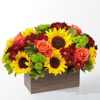 Happy Harvest Garden – FARFANS FLOWERS & DECORATIONS LLC, Frederick MD