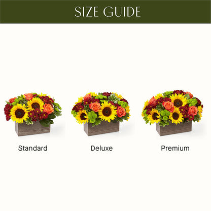 Happy Harvest Garden – FARFANS FLOWERS & DECORATIONS LLC, Frederick MD