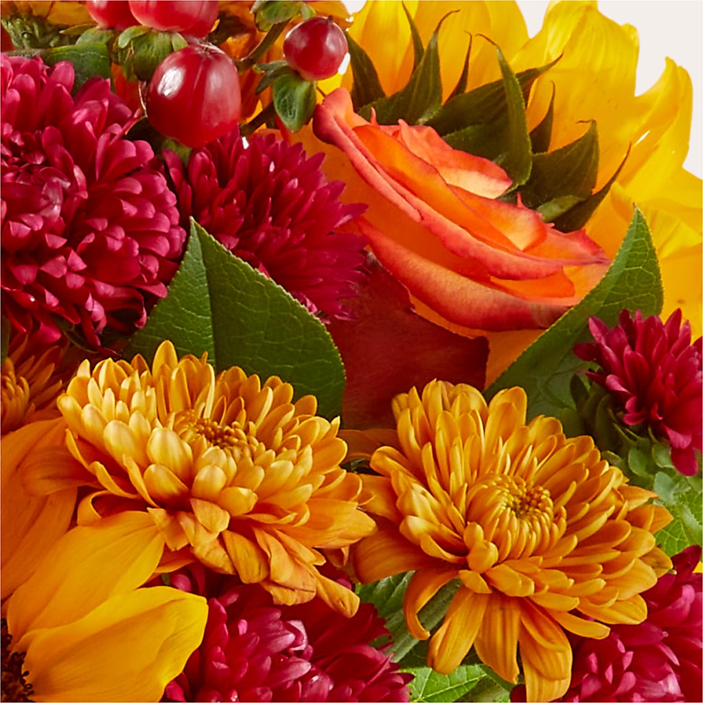 Sweater Season - A Florist Original – FARFANS FLOWERS & DECORATIONS LLC, Frederick MD