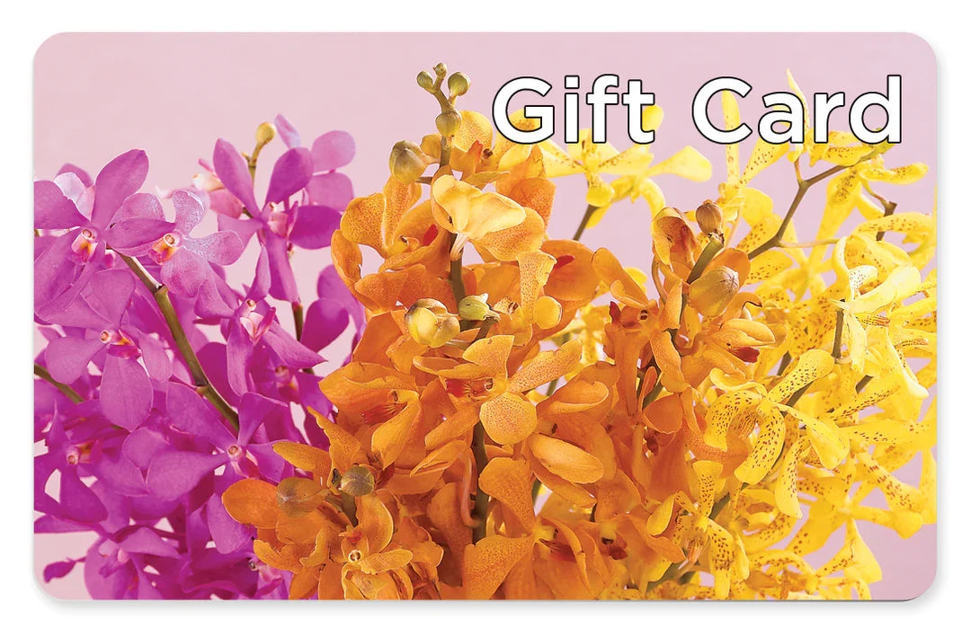 Gift Card – FARFANS FLOWERS & DECORATIONS LLC, Frederick MD