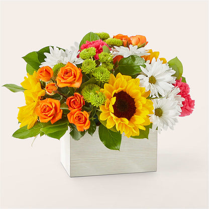 Sun-drenched Blooms Box Bouquet – FARFANS FLOWERS & DECORATIONS LLC, Frederick MD