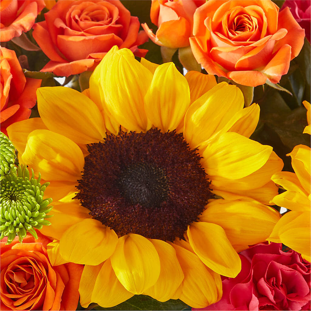 Sun-drenched Blooms Box Bouquet – FARFANS FLOWERS & DECORATIONS LLC, Frederick MD
