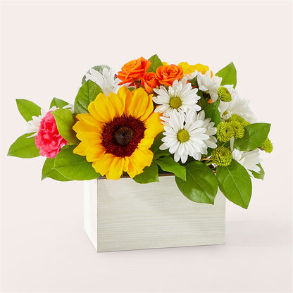 Sun-drenched Blooms Box Bouquet – FARFANS FLOWERS & DECORATIONS LLC, Frederick MD