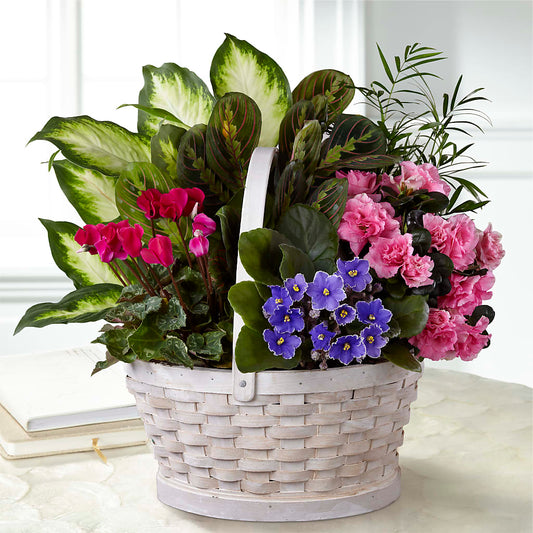 Peaceful Garden Planter – FARFANS FLOWERS & DECORATIONS LLC, Frederick MD
