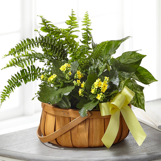 Always Dear Dishgarden – FARFANS FLOWERS & DECORATIONS LLC, Frederick MD
