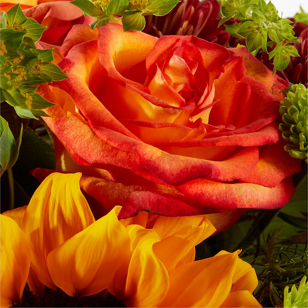Harvest Festival Bouquet – FARFANS FLOWERS & DECORATIONS LLC, Frederick MD