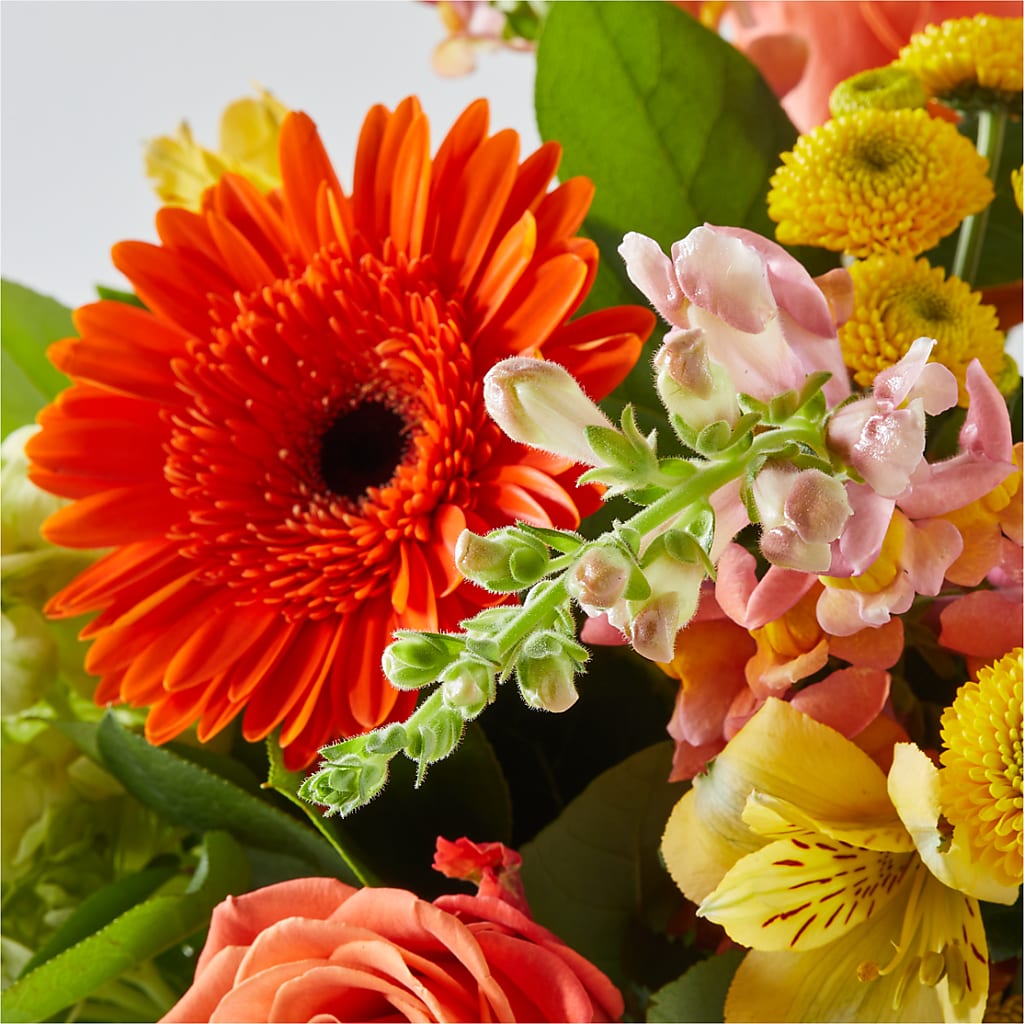 Autumn Sunshine Bouquet – FARFANS FLOWERS & DECORATIONS LLC, Frederick MD