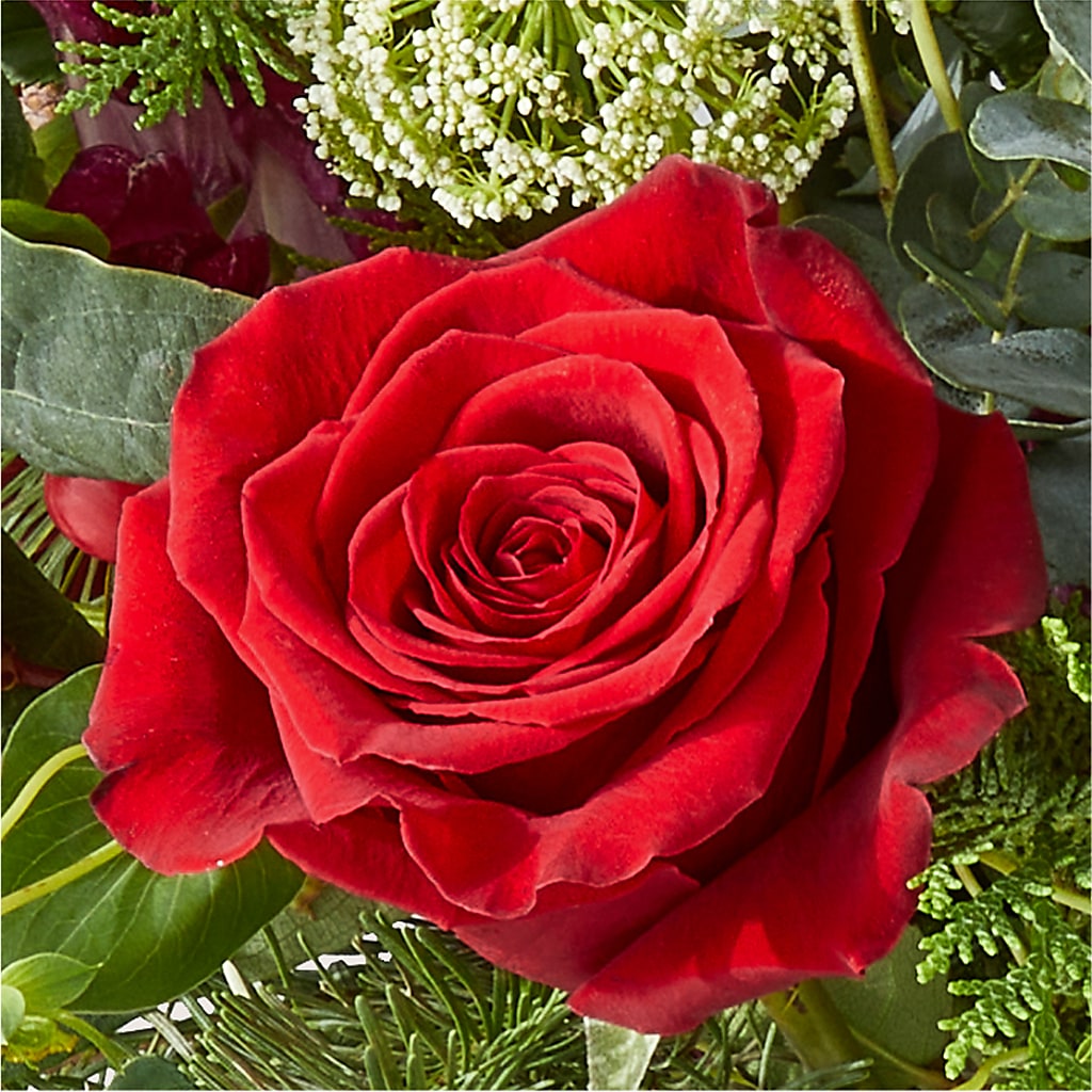 Cranberry Fizz Bouquet – FARFANS FLOWERS & DECORATIONS LLC, Frederick MD
