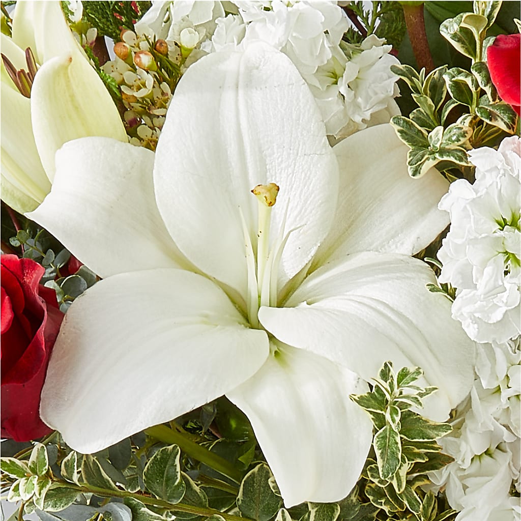 Twinkle Lights Bouquet – FARFANS FLOWERS & DECORATIONS LLC, Frederick MD