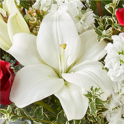 Twinkle Lights Bouquet – FARFANS FLOWERS & DECORATIONS LLC, Frederick MD