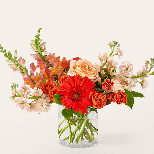 Paloma Please Bouquet – FARFANS FLOWERS & DECORATIONS LLC, Frederick MD