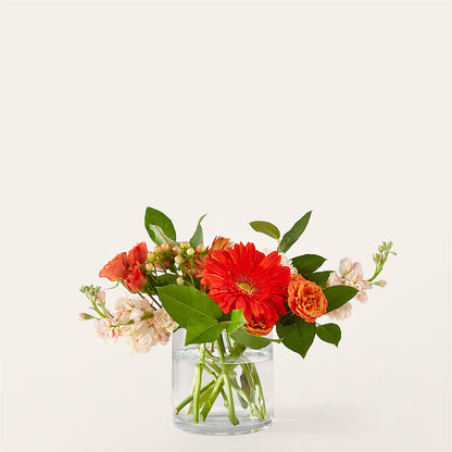 Paloma Please Bouquet – FARFANS FLOWERS & DECORATIONS LLC, Frederick MD