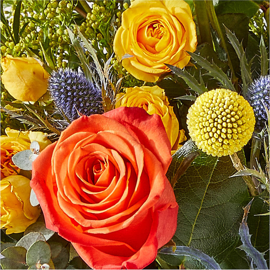 Disco Bouquet – FARFANS FLOWERS & DECORATIONS LLC, Frederick MD