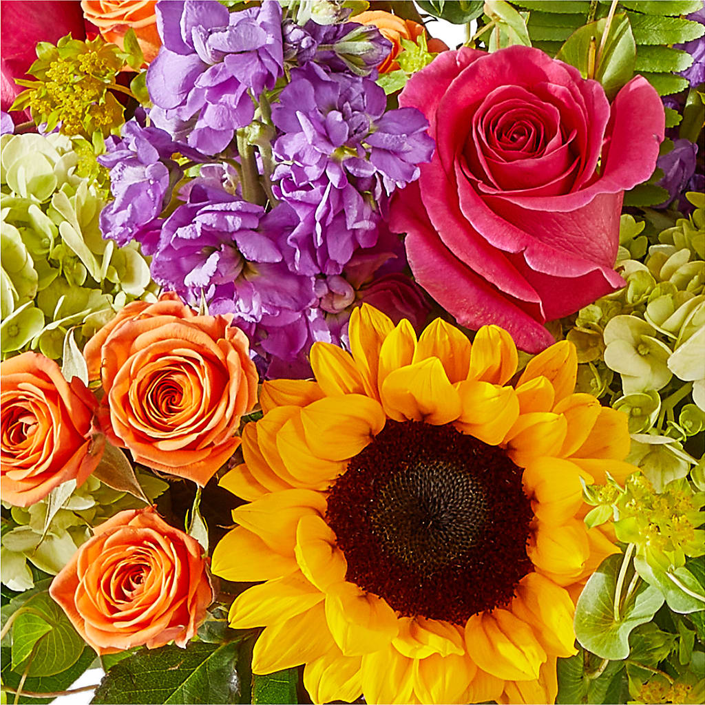 Vibrant Greetings Bouquet – FARFANS FLOWERS & DECORATIONS LLC, Frederick MD
