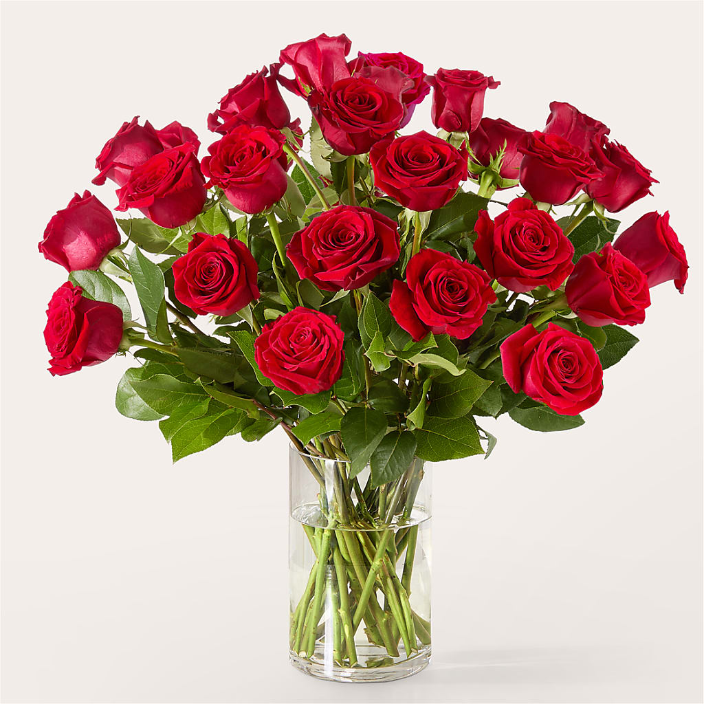 The One Red Rose Bouquet – FARFANS FLOWERS & DECORATIONS LLC, Frederick MD