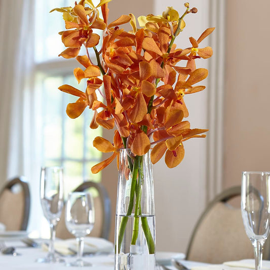 Orange Mokara Bud Vase – FARFANS FLOWERS & DECORATIONS LLC, Frederick MD