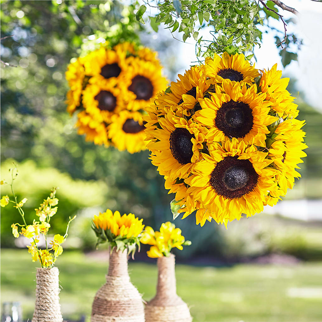 Sublime Garden Hanging Arrangement – FARFANS FLOWERS & DECORATIONS LLC, Frederick MD