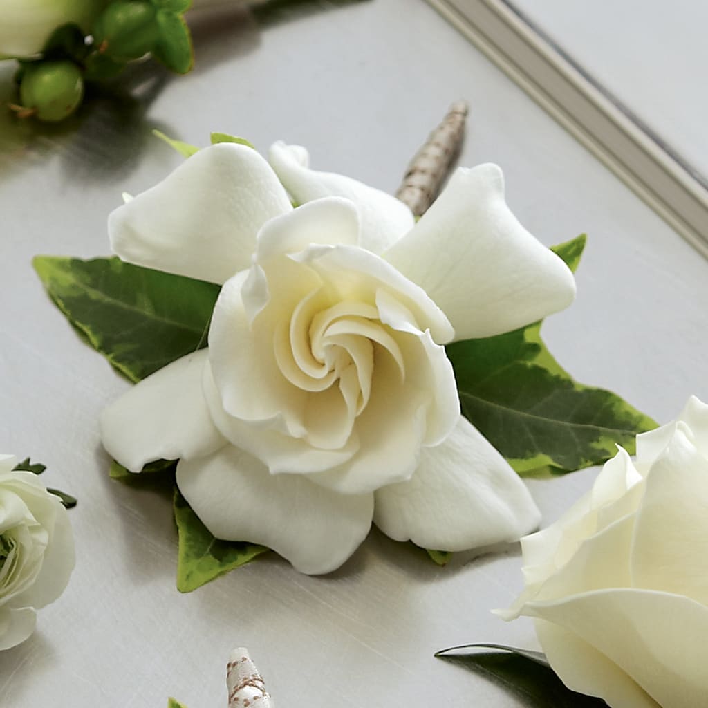 Gardenia Boutonniere – FARFANS FLOWERS & DECORATIONS LLC, Frederick MD